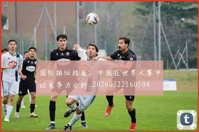 国际排坛格局：中国在世界大赛中的竞争力分析_20260522160504